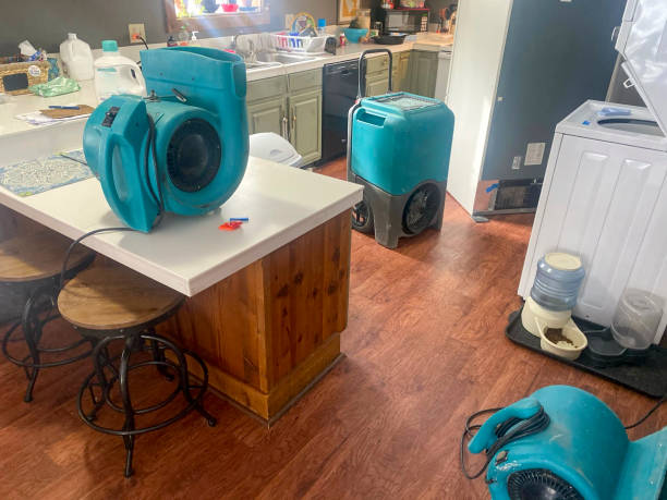 Best 24/7 water damage repair  in Ironwood, MI
