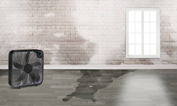 Best Sewage cleanup and water damage restoration  in Ironwood, MI