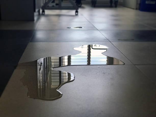 Best Carpet water damage restoration  in Ironwood, MI
