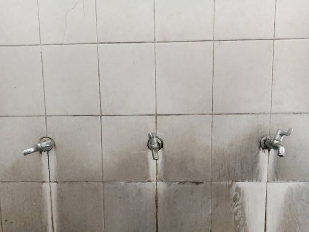 Best Water damage restoration near me  in Ironwood, MI