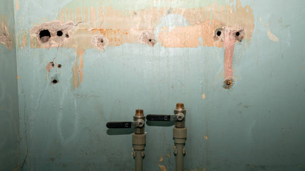 Best Mold removal after water damage  in Ironwood, MI
