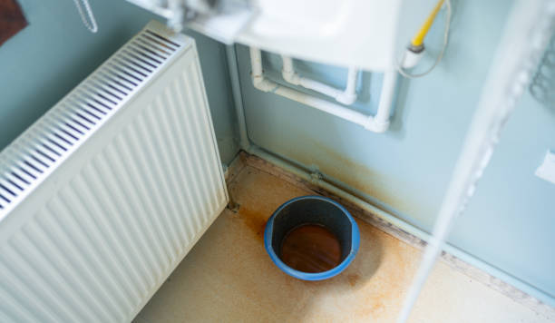 Best Ceiling water damage repair  in Ironwood, MI
