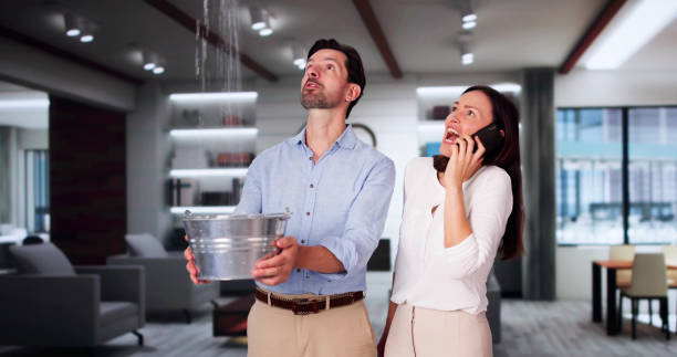 Best 24/7 water damage repair  in Ironwood, MI