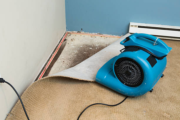 Best Water damage restoration experts  in Ironwood, MI